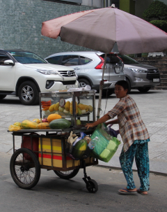 Fruit vendor, Saigon